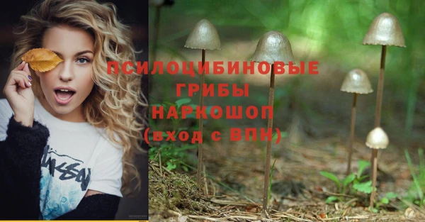 герыч Алзамай