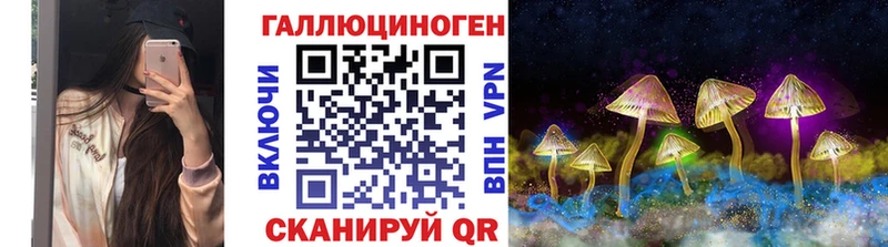 Псилоцибиновые грибы GOLDEN TEACHER  Далматово 